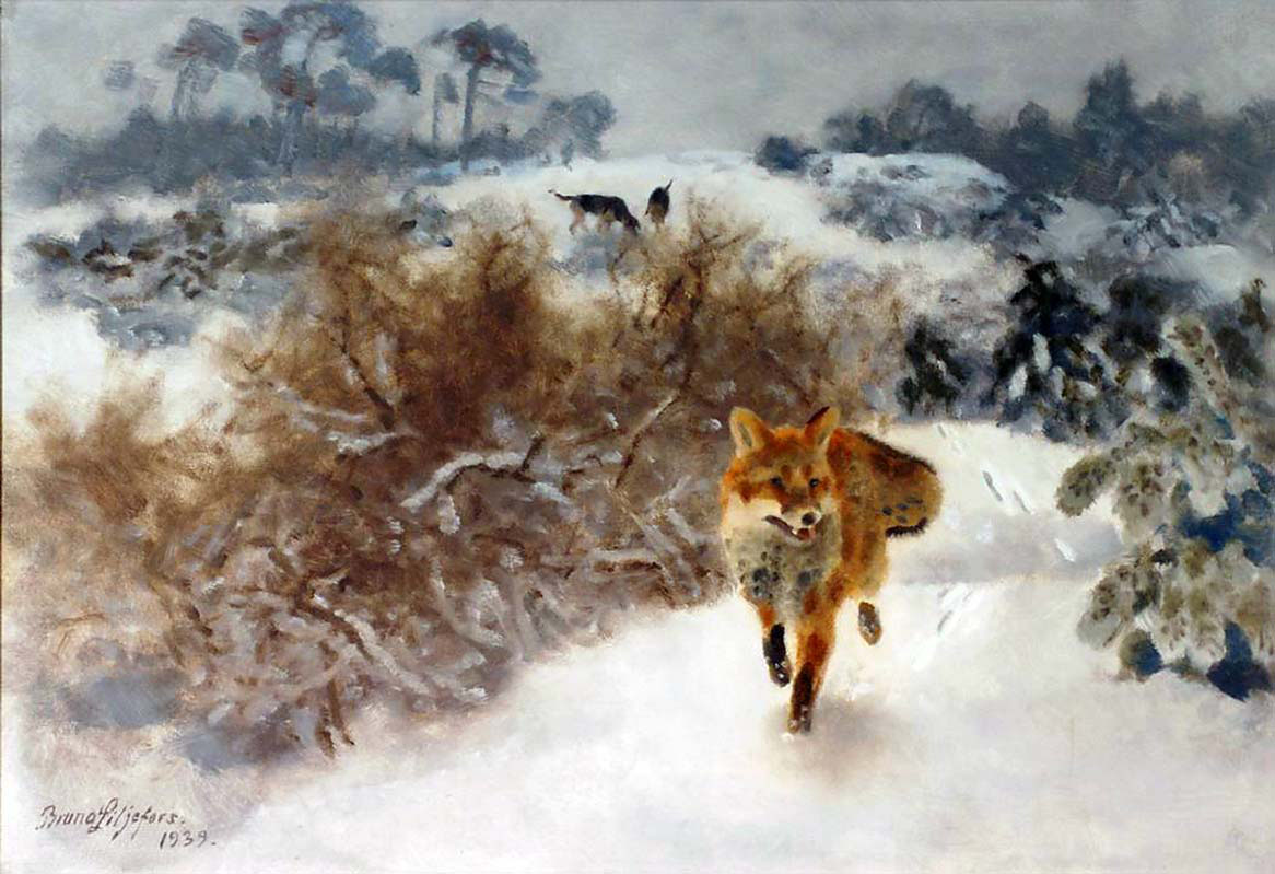 Fox in Winter Landscape